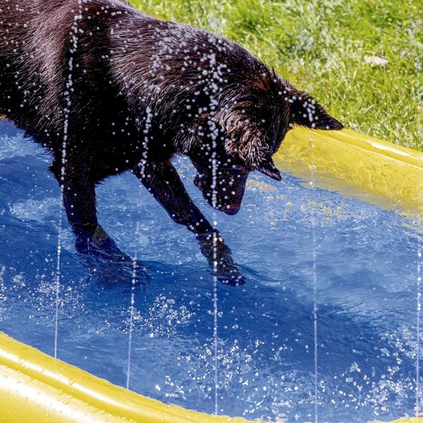Hundepool Palmy - aufblasbares Planschbecken für Hunde mit Sprinkler, ideale Abkühklung für den Sommer